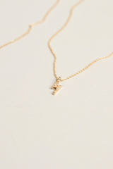 Guldhalsband med blixtberlock, närblick